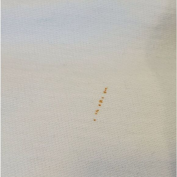 Eddie Bauer Green Hooded Zip Lightweight Jacket Size XL - Picture 9 of 10